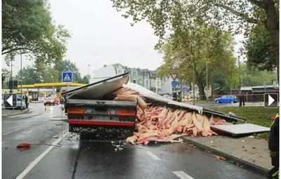 Свинщина: Български камион изсипа 400 умрели прасета в Германия