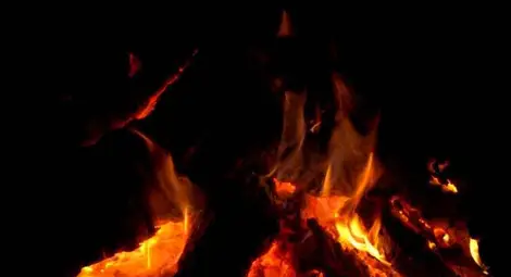 Откраднати от румънци платна на Пикасо, Моне и други световни майстори изгорени от майката на един от бандитите Откраднати от румънци платна на Пикасо, Моне и други световни майстори изгорени от майката на един от бандитите