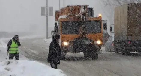Само фирма &bdquo;Берус&ldquo; кандидат да чисти района на Дунав мост