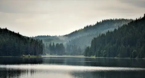Мразовито утро, но слънчев ден с температури до 13 градуса