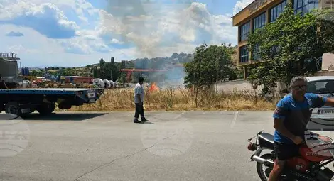 Снимка: БТА Снимка: БТА