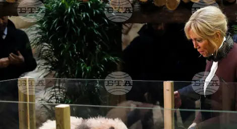 Снимка: БТА Снимка: БТА