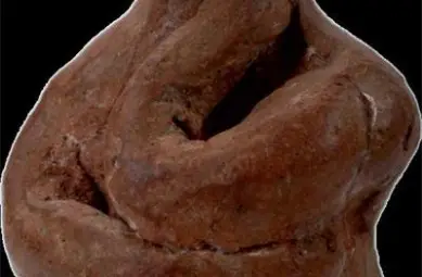 Уникално от България: Мислителят, по-скъп и от злато