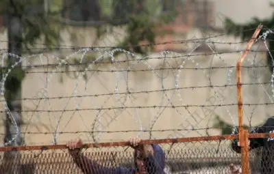 Затворници търсят инвеститор да ги спаси от безработицата