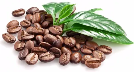 Бразилия започна да внася кафе