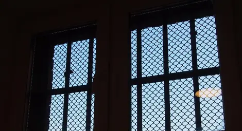 Откриха най-луксозния затров в България /галерия/ Откриха най-луксозния затров в България /галерия/