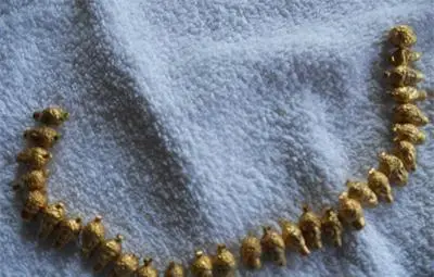 Дилър продава фалшиво тракийско съкровище за 200 000 евро