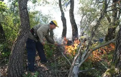 Румънски туристи се включиха в гасенето на пожара в Рила