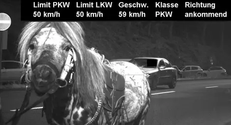 Полицейска камера засне кон с превишена скорост