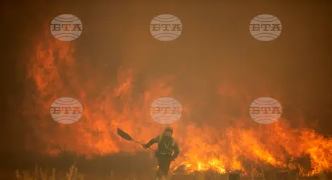 Снимка: БТА Снимка: БТА