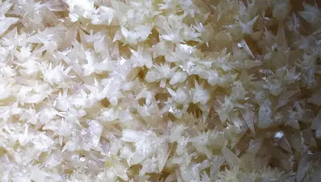 95 години организирано спелеоложко движение в България ще бъдат отбелязани на Орлова чука