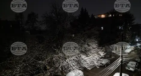 Снимка: БТА Снимка: БТА