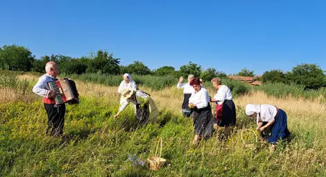 Венци от билки сплетоха за Еньовден в община Ценово