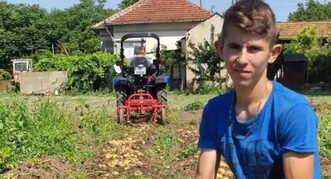 Процъфтяващо зеленчуково стопанство в Ценово не продава на пазара - 400 пратки седмично тръгват към редовни клиенти