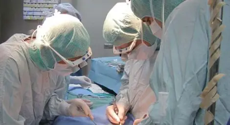 Кърлеж &bdquo;изяде&ldquo; мъжкото достойнство на овчар в Силистренско