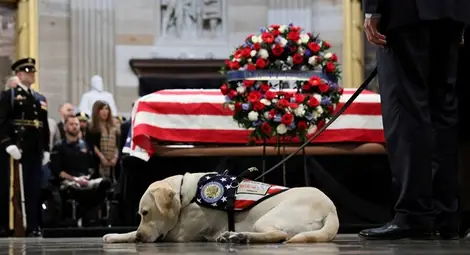 Кучето на Буш - вярно и след смъртта 