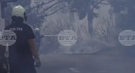 Снимка: БТА