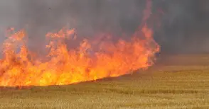 Румъния пак обеща да контролира паленето на стърнища - сега със сателит