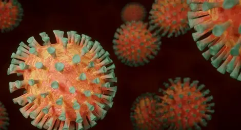 Учен установи, че ранните данни за COVID-19 са изтрити от базите данни