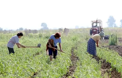Кандидатите за биоземеделие трябва да представят документ за обучение