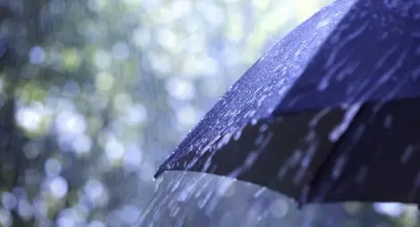 Жълт код за дъжд в 12 области Жълт код за дъжд в 12 области