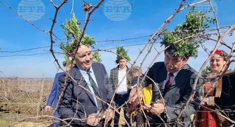 Снимка: БТА Снимка: БТА