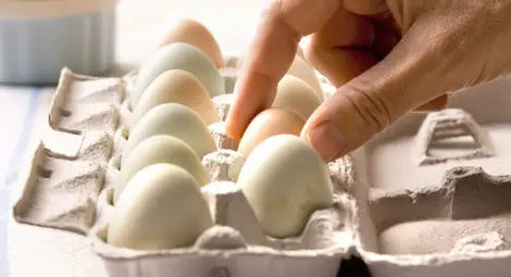 Едно яйце на ден снижава риска от инсулт Едно яйце на ден снижава риска от инсулт