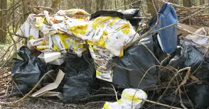 Незаконна сеч и сметище в гората на хижа „Приста“