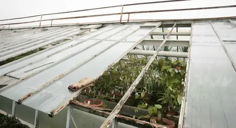 Ботаническата градина има нужда от сериозна реконструкция след ураганния вятър Ботаническата градина има нужда от сериозна реконструкция след ураганния вятър