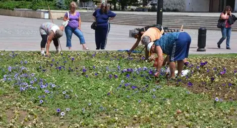 Зелената поръчка на общината  пусна по пързалката &bdquo;Паркстрой&ldquo;