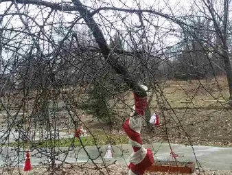 Серия от мартенски тържества в Центъра за комплексно обслужване на лица с увреждания в Русе Серия от мартенски тържества в Центъра за комплексно обслужване на лица с увреждания в Русе