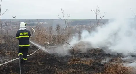 10 дка сухи треви запалени умишлено срещу хижа &bdquo;Приста&ldquo;