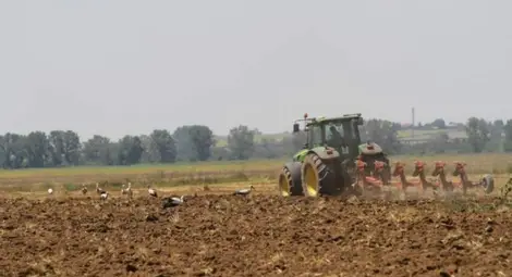 53 лева е средната рента за декар земя в Русенско