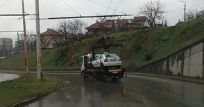 Чудо! Паяк носи патрулка