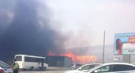 Ад край морето! Три коня изгоряха в пожара край Слънчев Бряг!