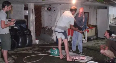 Тонове риба заляха село Веселие