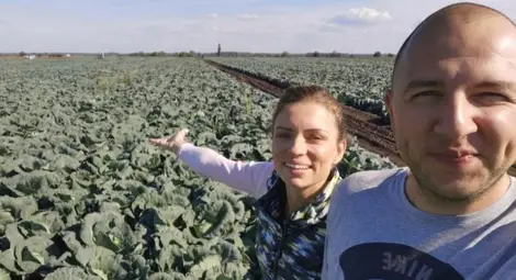 Даниел Петров е намалил засетите със зеле декари от 220-230 на 50.                                                                                 Снимка: Агри.бг