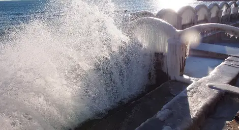 Леден дворец извая студът във Варна /галерия/