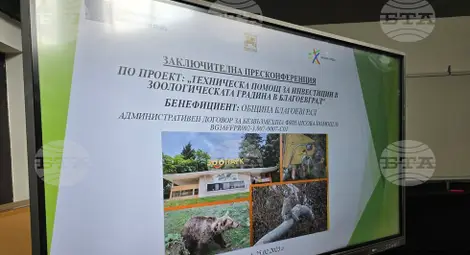 Снимка: БТА