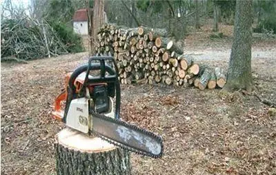 Георги Костов: За 23 години сме загубили 32 000 хектара гора