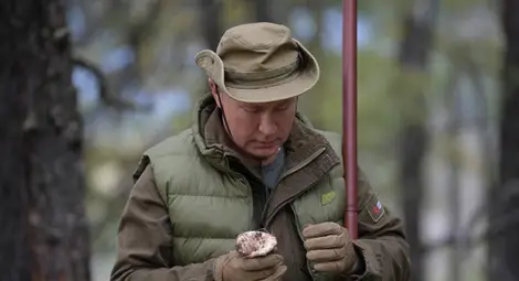 Путин бере гъби на рождения си ден високо в сибирските планини