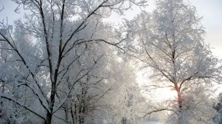 Опасно ниски температури в 16 области, минус 21 градуса в Кнежа