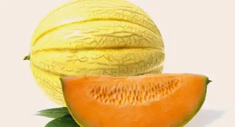 От БАБХ успокоиха, че няма пъпеши със салмонела на пазара