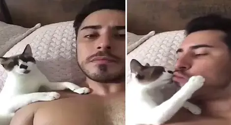 Целуващо стопанина си коте стана хит в интернет