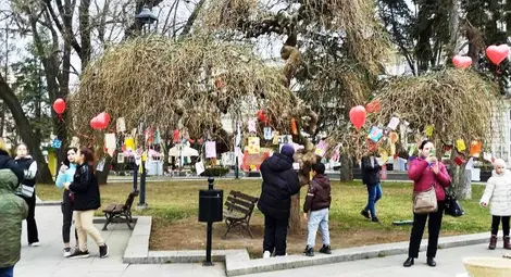 Дървото на влюбените ще разцъфне с над 250 валентинки на 14 февруари