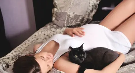 Котката е целебен феномен