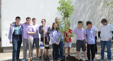 Ученици засадиха две офики в двора на Немското училище