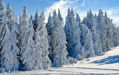 Първи сняг около 17 ноември Първи сняг около 17 ноември