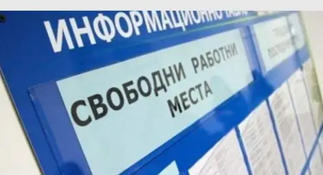 Обявени свободни работни места в област Русе към 13 октомври &nbsp;2021 г.