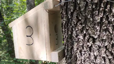 25 къщички за наблюдение на сънливци са поставени във Ветовско